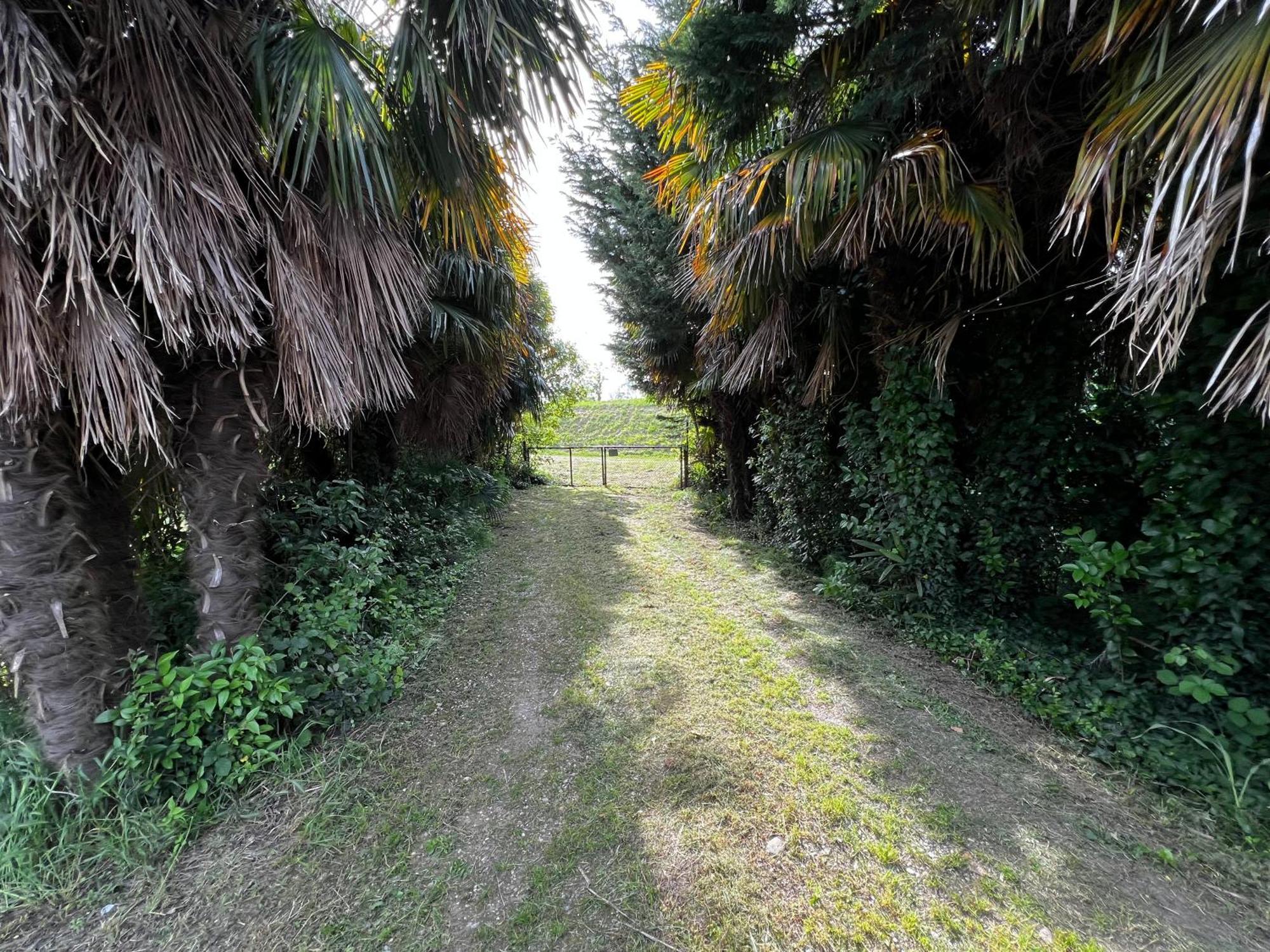 Villa Egles - Villa Con Giardino A Lignano Sabbiadoro Exteriör bild