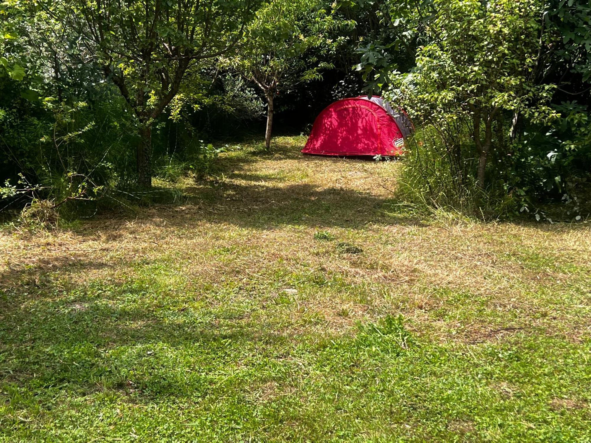 Villa Egles - Villa Con Giardino A Lignano Sabbiadoro Exteriör bild